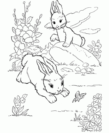 Baby Farm Animal Coloring Pages | Free coloring pages