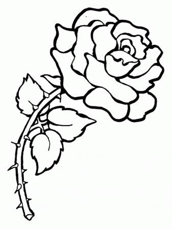 Rose Colouring Page Colouring Pages Online Australia 233011 