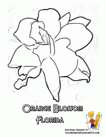 Flower Coloring Sheets | States Alabama-Georgia | Flower |Free 