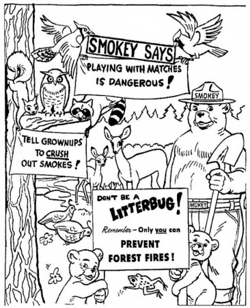 Smokey Bear Colouring Pages Page 3 176552 Smokey Bear Coloring Pages
