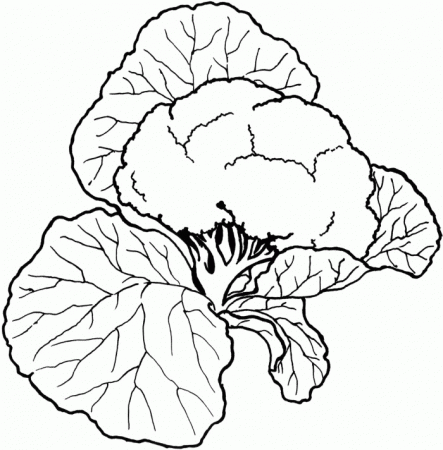 Nutrition Vegetables Food Coloring Pages - Vegetables Coloring 