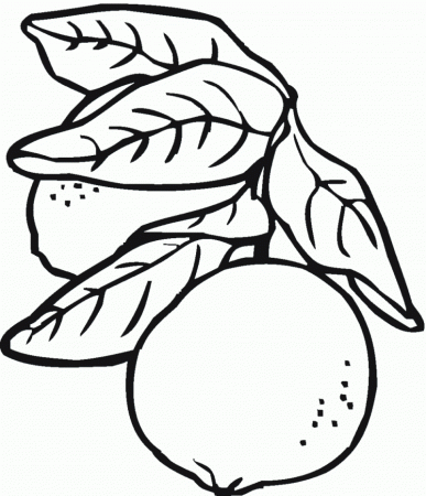 Coloring Pages Fruit Colorings 48 (Food & Fruits > Others) - Free