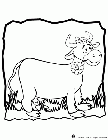 animal coloring pages cow page classroom jr