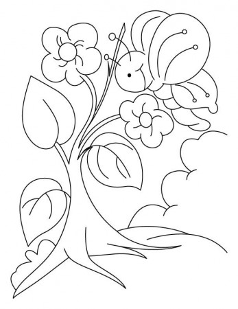 Butterfly also celebrating an arbor day coloring pages | Download 