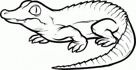 Free Printable Crocodile Coloring Pages | Coloring Pages