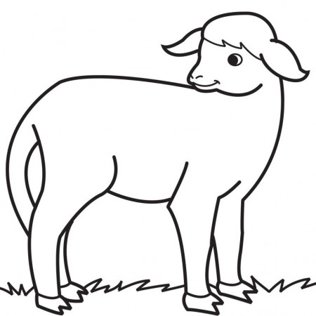 cute lamb Colouring Pages (page 2)