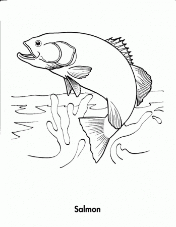 Ocean Coloring Pages Clownfish Animals Gif 112956 Coloring Pages 