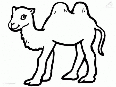 Camel Coloring Page - Free Coloring Pages For KidsFree Coloring 