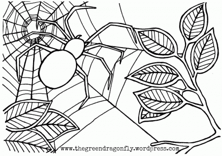 Coloring Sheets | The Green Dragonfly