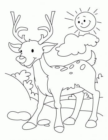 My deer coloring page | Download Free My deer coloring page for 