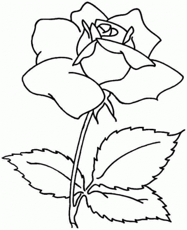 Printable Free Coloring Pages Rose Flowers For Toddler 20480#