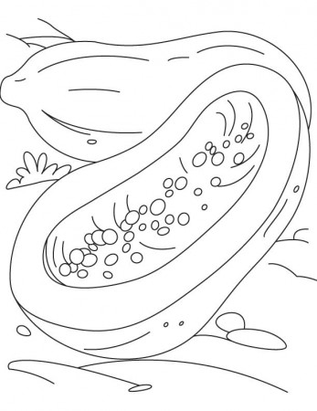 Yellow flesh papaya coloring pages, Kids Coloring pages, Free 
