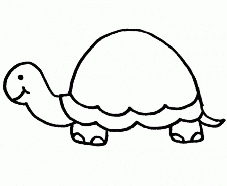 Printable Little Turtle Coloring Pages - Animals Coloring : oColoring.