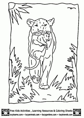 Lion Coloring Sheets,Lucy Lion Coloring Pages Kids Zoo Animal 