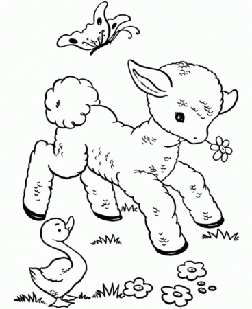 Cute Baby Animals Coloring Pages Picture | 99coloring.com