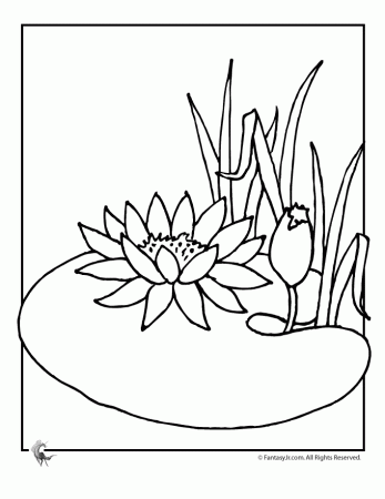 Fantasy Jr. | Water Lily Flower Coloring Page