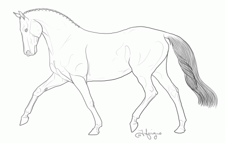 Animal Coloring Horse Coloring Pages Horse Animal Coloring Pages 3 