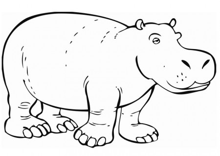 Coloring page Hippopotamus - img 12842.