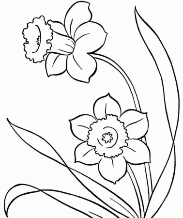 Spring Flowers Colouring Pages Photo - Spring Day Coloring Pages 