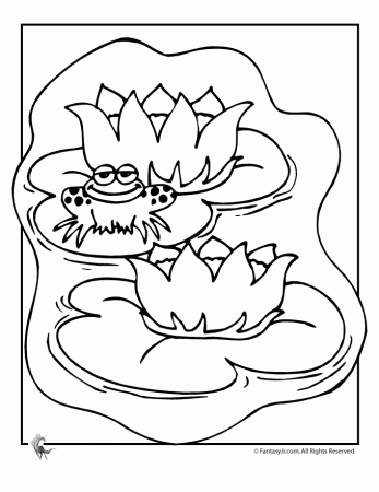 water lily flower Colouring Pages (page 3)