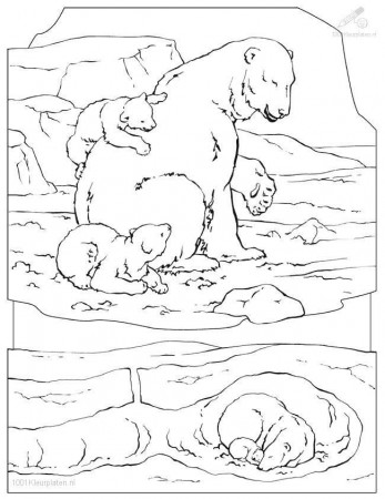 Polar Bear Coloring Page | animal