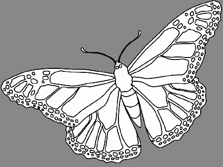 Butterflies 5 Animals Coloring Pages & Coloring Book