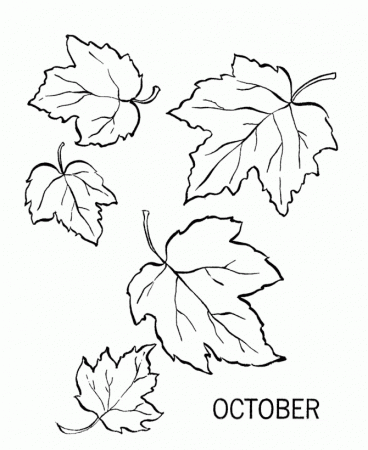 october fall leaves coloring page: october fall leaves coloring 