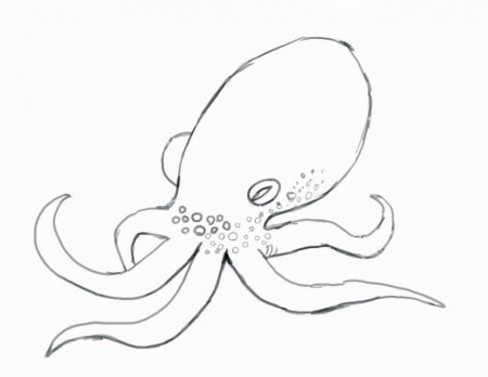Simple Octopus Drawing For Kids Wallpaper | Free latest HD 