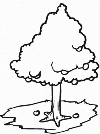 Pictures Apple Trees Are Dense Coloring Pages - Tree Coloring 