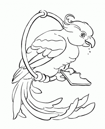 Bird Coloring Pages : Bird Parrot Coloring Page Kids Coloring Art