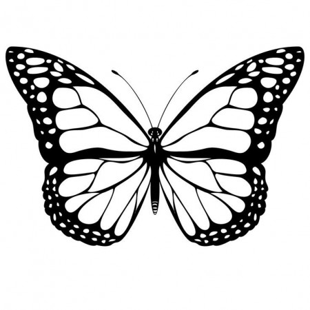 Free Butterfly Template | Everything Printable