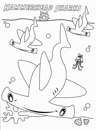 Hammerhead Shark Coloring Page - Coloring Page