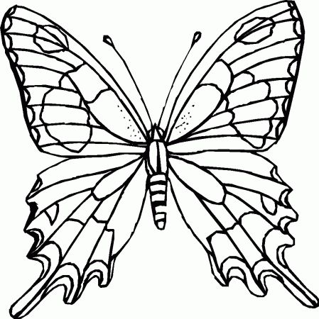 Butterfly - Coloring Pages for Kids and for Adults
