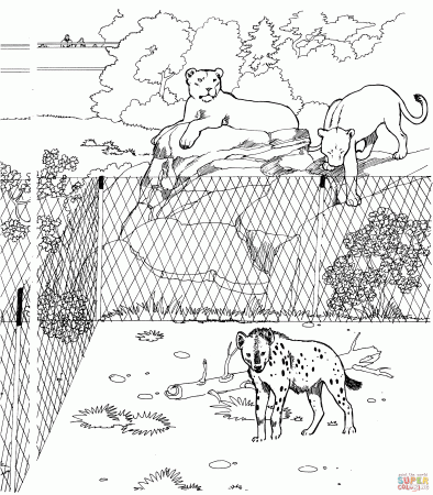 Spotted Hyena and Lionesses in a Zoo coloring page | Free ...