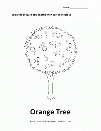 Colouring Worksheet - Orange Tree -