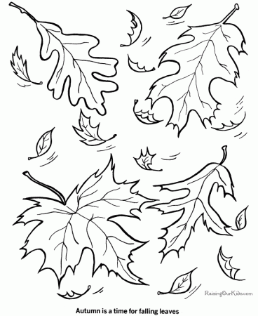 Leaf Coloring Pages | Free Coloring Pages