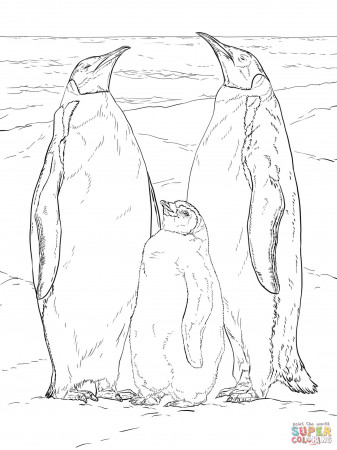 Emperor Penguin Family coloring page | Free Printable Coloring Pages