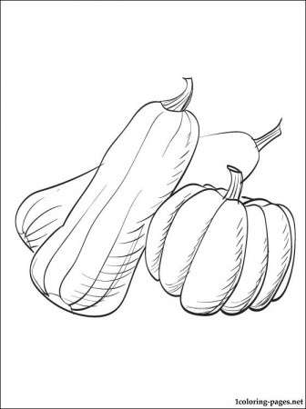 Summer squash or zucchini coloring page | Coloring pages