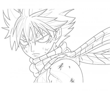 Fairy Tail Natsu Coloring Pages in 2020 | Butterfly coloring page ...