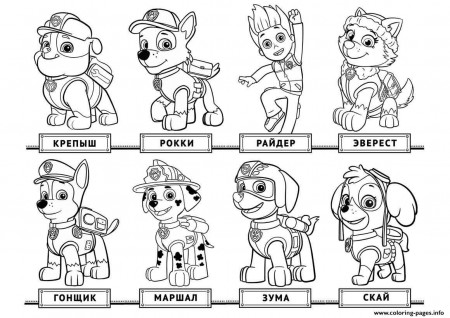 Print Free Chase Paw Patrol list coloring pages | Paw patrol ...
