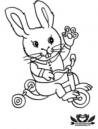 Wild Family Coloring Pages For Kids - Free Coloring Book!