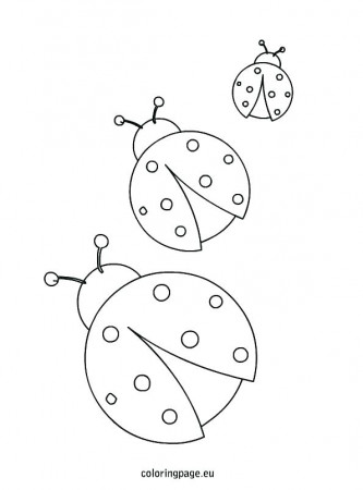 ladybug life cycle coloring page – carriembecker.me