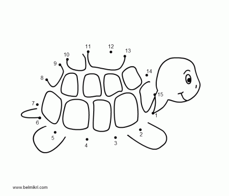 sea turtle worksheet Colouring Pages (page 3)
