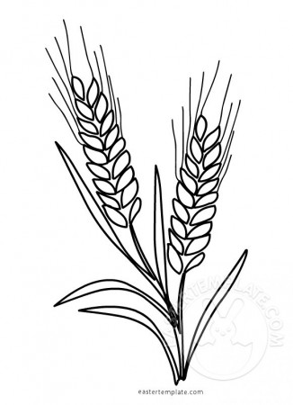 Whole Wheat Grain Symbol coloring page - Easter Template