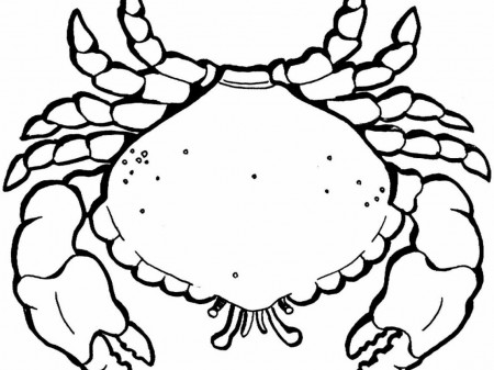 26 Printable Coloring Pages for Kids for: Ocean Coloring. leproject.co