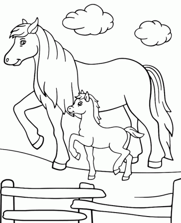 Horse and colt coloring sheet page