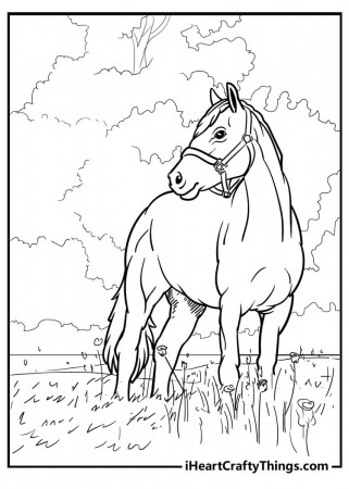 40 Horse Coloring Pages - 100% Free (Uploaded 2023)