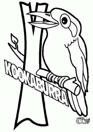 Laughing Kookaburra Coloring Page Free Printable Coloring Pages Coloring Home
