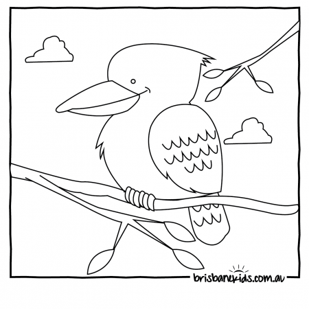 Australian Animals Colouring Pages | Animal coloring pages, Australian  animals, Australia animals