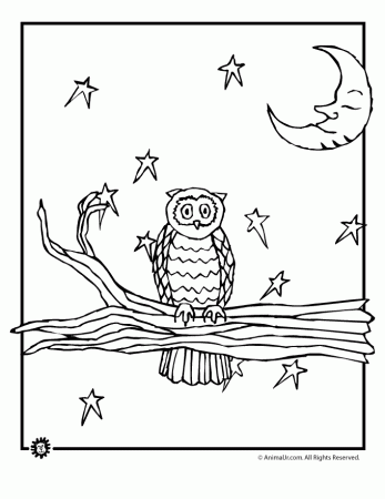 Owl Coloring Pages | Woo! Jr. Kids Activities